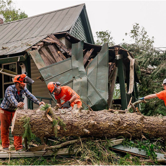 first responders removing fallen tree